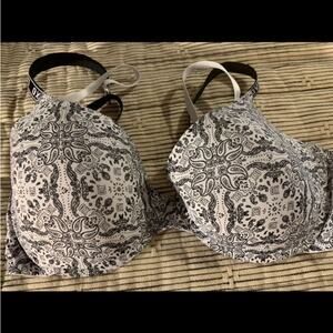 XOXO 38D Black White Bra underwire padded